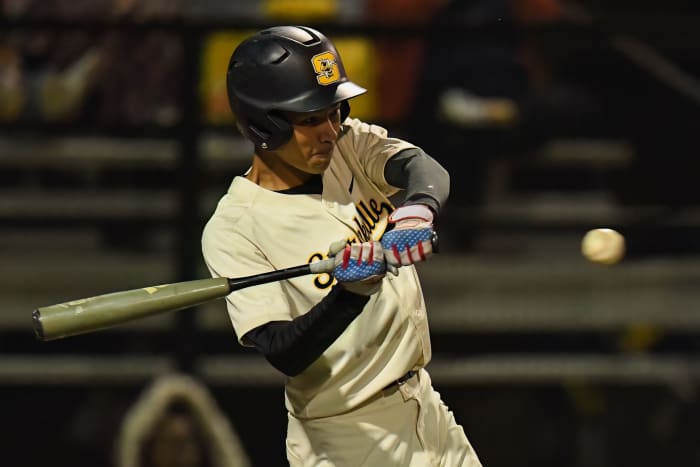 SUN_8637-DeNoiseAI-low-light